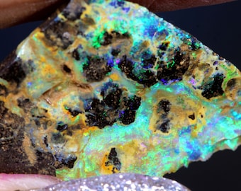 16.6 cts Boulder Opal Rough
