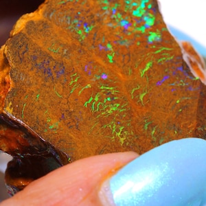 211.30 carats Boulder Matrix Opal Rough from Winton Australia