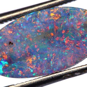 May include: An oval-shaped opal gemstone with a vibrant display of colors. The opal features a mix of blue, green, orange, and red hues, creating a dynamic and eye-catching appearance. The gemstone is held by metal tweezers against a white background.