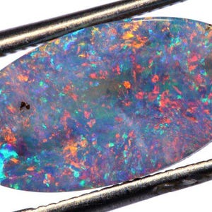 May include: An oval-shaped opal gemstone with a dark base color. The opal displays a vibrant play-of-color, with flashes of red, orange, green, and blue throughout its surface. The stone is held by metal tweezers.