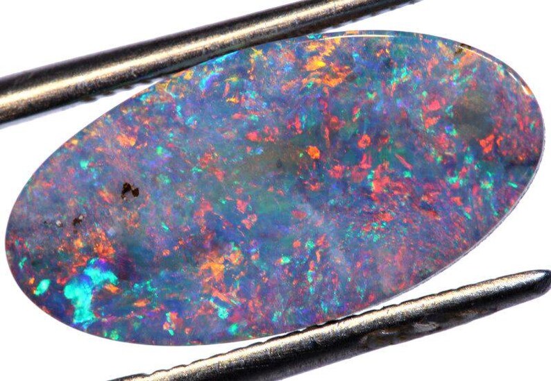May include: An oval-shaped opal gemstone with a dark base color. The opal displays a vibrant play-of-color, with flashes of red, orange, green, and blue throughout its surface. The stone is held by metal tweezers.
