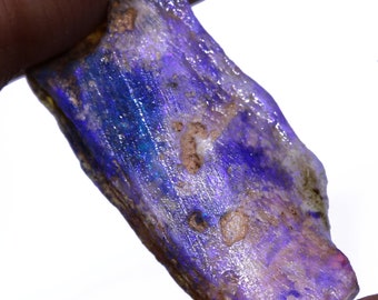 6Cts Opalized Wood Fossil Fo-2562