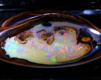 24.95 Cts Yowah Opal Centre Nut   INV-1713