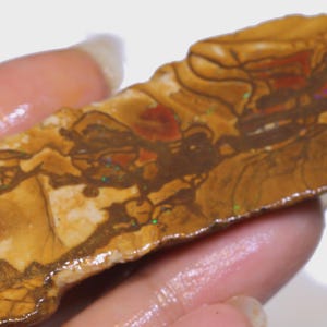 Puede incluir: Una muestra de &oacute;palo en bruto pulido, con un patr&oacute;n &uacute;nico de colores marr&oacute;n, rojo y crema. La piedra tiene una forma natural y org&aacute;nica y muestra destellos iridiscentes de color. El &oacute;palo se sostiene en una mano.
