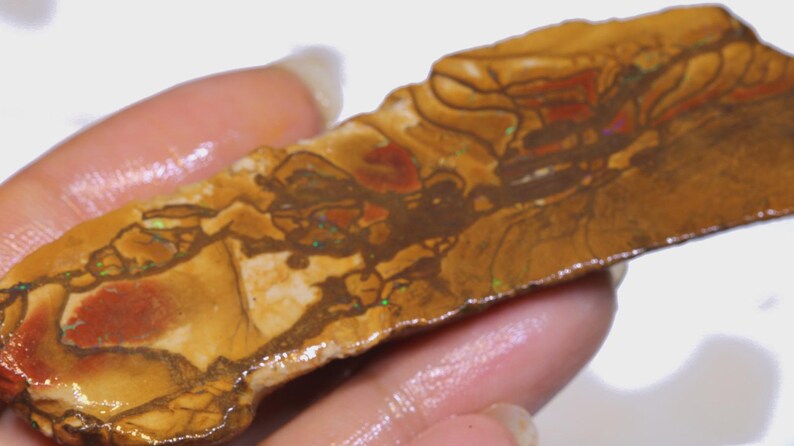 Puede incluir: Una muestra de &oacute;palo en bruto pulido, con un patr&oacute;n &uacute;nico de colores marr&oacute;n, rojo y crema. La piedra tiene una forma natural y org&aacute;nica y muestra destellos iridiscentes de color. El &oacute;palo se sostiene en una mano.