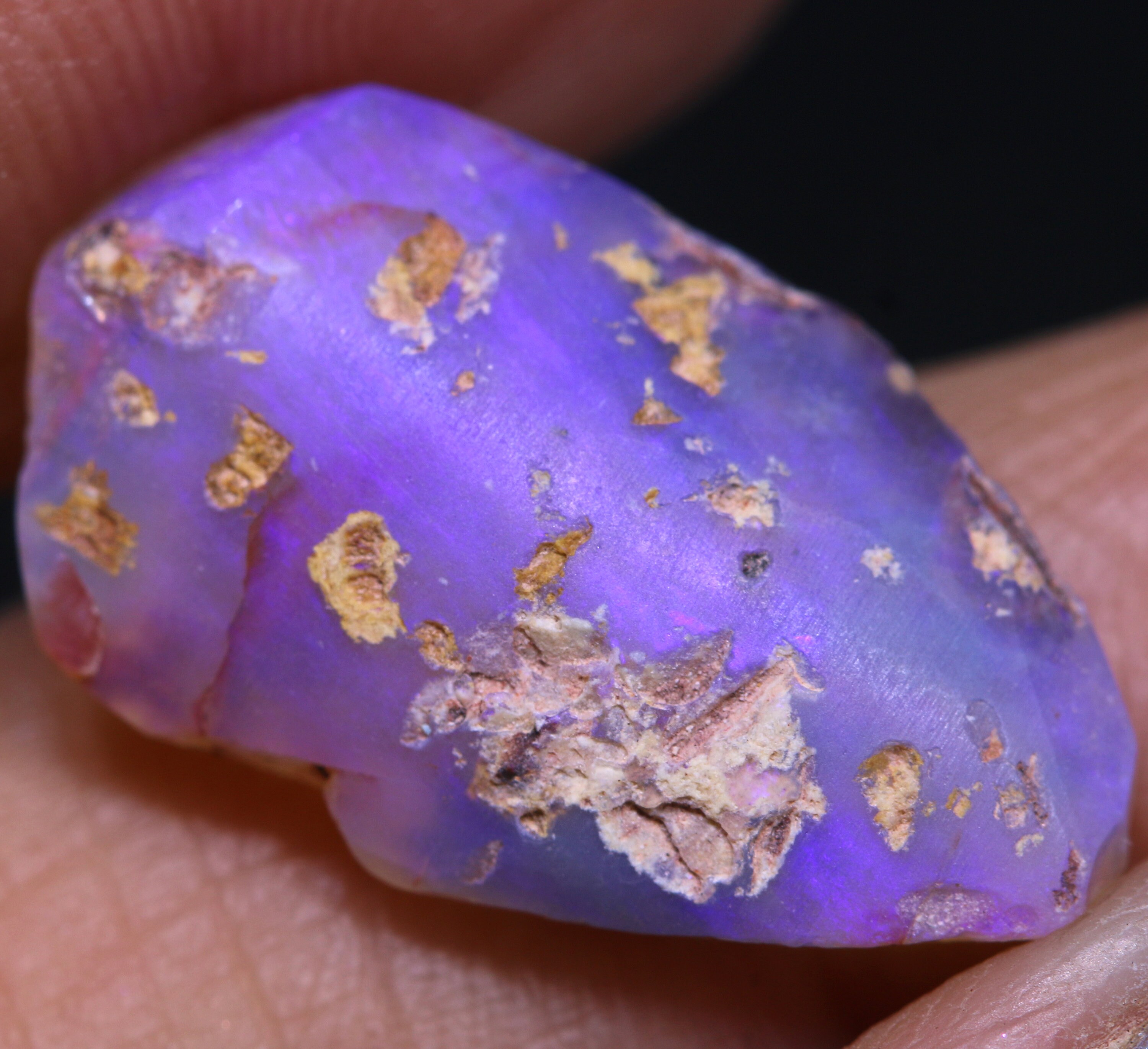 6 Cts Opal Mussel Shell Lightning Ridge FO-2564 - Etsy