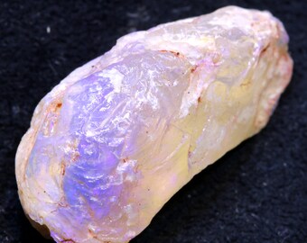 16Cts Opal Mussel Shell Lightning Ridge FO-2566