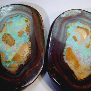 Könnte beinhalten: Zwei polierte Opalsteine mit einer dunkelbraunen Außenschicht und einem lebendigen, mehrfarbigen Inneren. Die Opale zeigen eine Mischung aus Blau, Grün und Gelb mit einem einzigartigen Muster. Die Steine sind oval und haben eine glänzende Oberfläche.