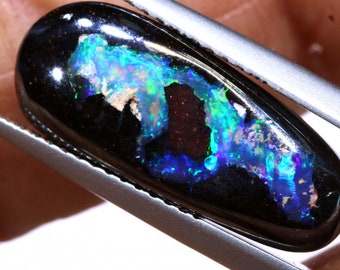 7.9 CTS Koroit Opal Polished Stone NC-9001