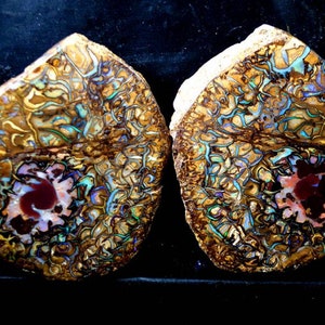 Könnte beinhalten: Zwei Stücke Opal mit einem braunen, goldenen und schillernden blau-grünen und violetten Muster. Der Opal hat eine rote Mitte.
