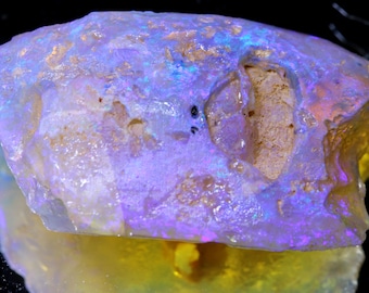 36Cts Opalized Wood Fossil Fo-2561