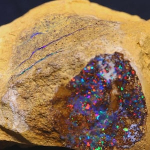 Op de afbeelding: Een ruwe, bruin-gele steen met een holte die een levendige opaal onthult. De opaal toont een mozaïek van kleuren, waaronder rood, blauw, groen en paars. Het oppervlak van de steen heeft een textuur.