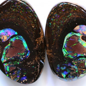 141.05 Carats Koroit Opal Nut **Gemini Twins**