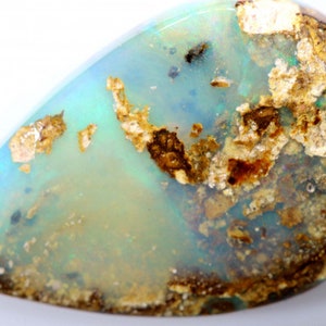 7.75 CTS Yowah Opal Wood Fossil NC-8597