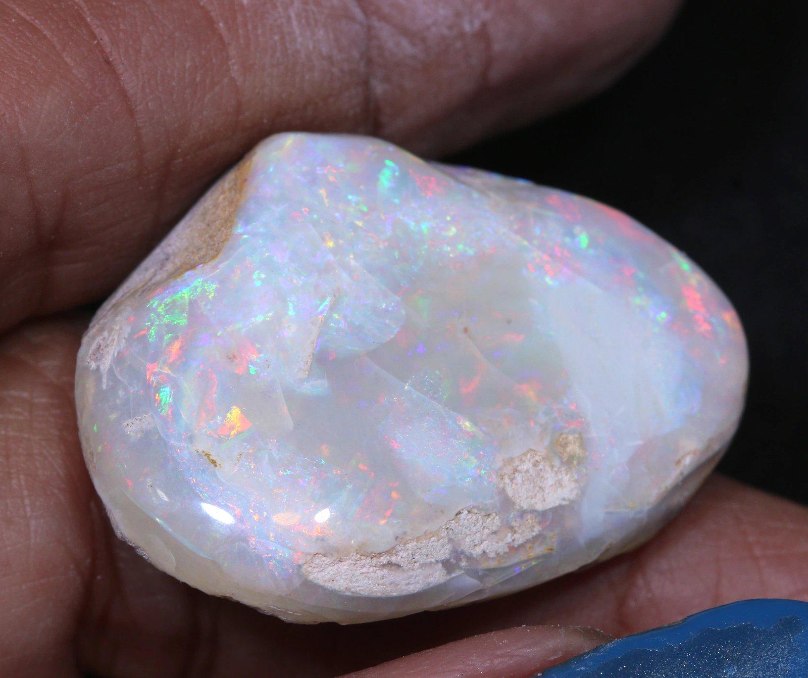 49 Cts Clam Shell Opalized Fossil Opal FO-2594 - Etsy