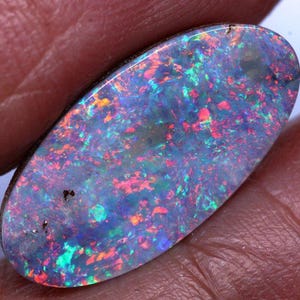 May include: An oval-shaped opal gemstone with a dark base color. The opal displays a vibrant play-of-color, with flashes of red, green, blue, and yellow throughout its surface. The gemstone is held between fingers, showcasing its polished finish.