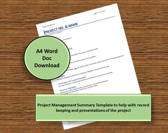 Basic Project Executive Summary Template Printable Digital Download