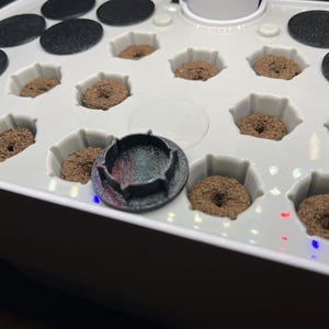 May include: A white hydroponic growing system with multiple round planting holes. Each hole contains a brown growing medium. A black plastic cap is in one of the holes.