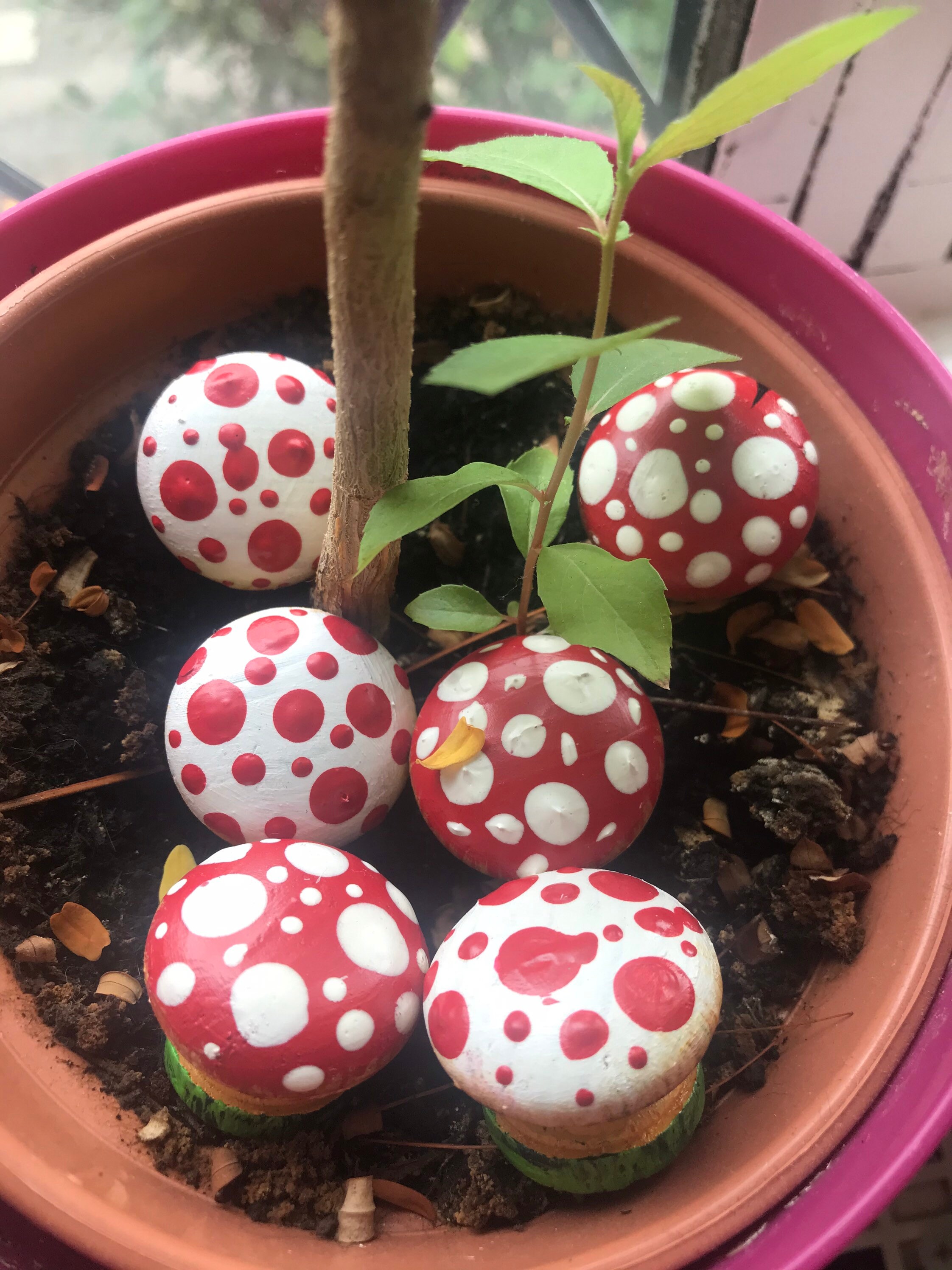 Little Mushroom/mushroom Handles Etsy UK