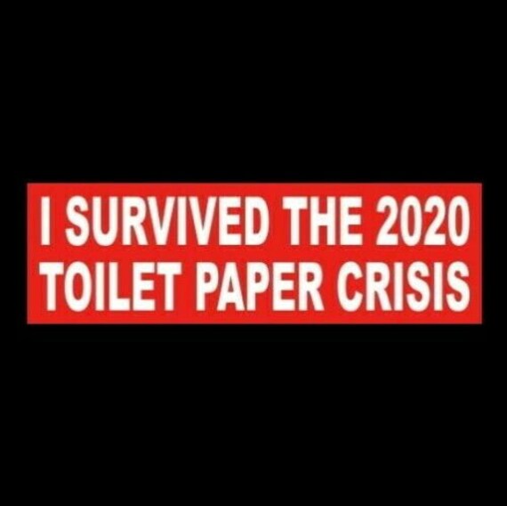 10 In X 3 In I Survived Insegnamento Adesivo Paraurti - Foto 8