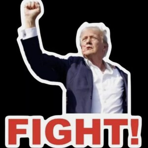 Pro Donald Trump "FIGHT" defiant sticker DECAL Trump 2024 attempted assassination, bumper sticker, never surrender, maga, fjb