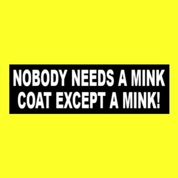 New "Nobody Needs a Mink Coat Except a Mink" BUMPER STICKER Anti fur, stop Animal Cruelty decal, sign, new, kindness