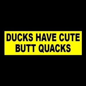 Funny "Ducks Have Cute Butt Quacks" BUMPER STICKER farm girl, farmer, duck lover decal, farming, new Oregon, vinyl