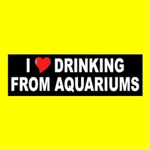 Funny &quot;I Love Drinking From Aquariums&quot; BUMPER STICKER weird decal, punk rock, goth girl emo, strange, unusual, bizarre, vinyl, new