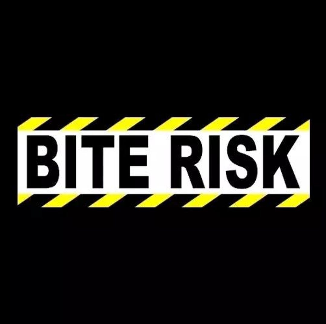 Funny bite Risk Bumper Sticker, Warning Decal Goth Girl Punk Rock Emo ...
