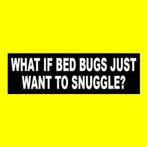 May include: Black and white text on a yellow background reads "What if bed bugs just want to snuggle?"
