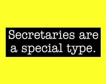 Funny "Secretaries Are a Special Type" BUMPER STICKER office job decal, secretary, business, vinyl, new