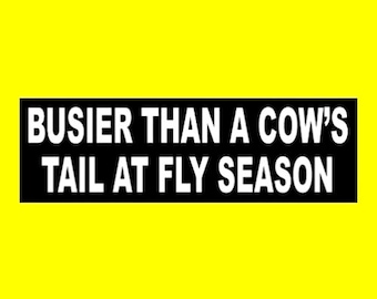 Funny "Busier Than a Cow's Tail at Fly Season" BUMPER STICKER farmer decal, farming, country girl, southern girl, redneck cowboy, new