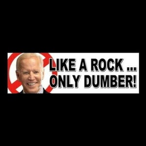 Funny &quot;Like a Rock ... Only Dumber!&quot; Anti Joe Biden BUMPER STICKER, window decal sign, political, NEW