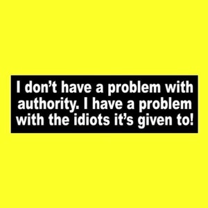 Funny &quot;I Don&#39;t Have a Problem with Authority. I Have a Problem with the Idiots it&#39;s Given To! Anti government BUMPER STICKER Joe Biden FJB