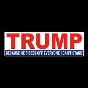 Funny "Trump: Because He Pisses Off Everyone I Can't Stand" BUMPER STICKER window decal sign, Trump 2024, political, vinyl, new