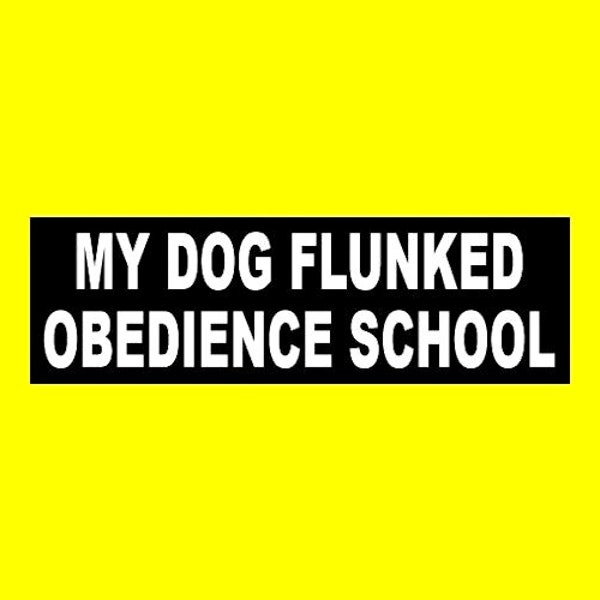 Funny "My Dog Flunked Obedience School" BUMPER STICKER puppy, cute decal sign, warning, caution, new