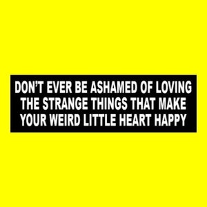 Funny &quot;Don&#39;t Ever Be Ashamed of Loving the Strange Things That Make Your Weird Little Heart happy&quot; BUMPER STICKER goth girl emo decal