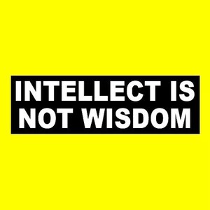 New "Intellect is not Wisdom" BUMPER STICKER window decal, funny sticker, college higher ed