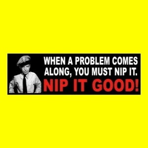 Funny &quot;Barney Fife and Devo - Whip it & Nip It&quot; BUMPER  STICKER The Andy Griffith Show, Mayberry police, alternative rock, decal, in the bud