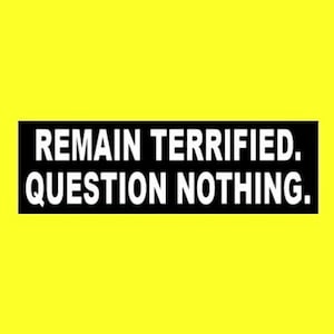 Funny &quot;Remain Terrified. Question Nothing.&quot; BUMPER STICKER, virus crisis, They Live Obey, Fake News, New World Order, Illuminati, sleep