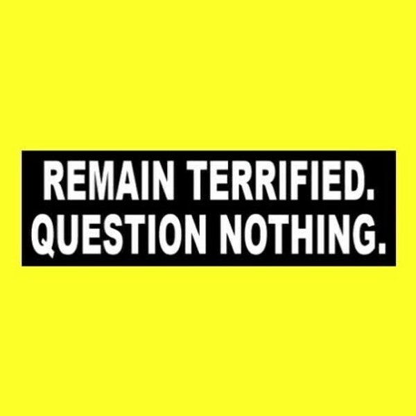Funny "Remain Terrified. Question Nothing." BUMPER STICKER, virus crisis, They Live Obey, Fake News, New World Order, Illuminati, sleep