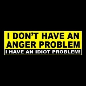 Funny "I Don't Have an Anger Problem - I Have an Idiot Problem" BUMPER STICKER antisocial punk rock decal sign, goth girl, rude, warning new