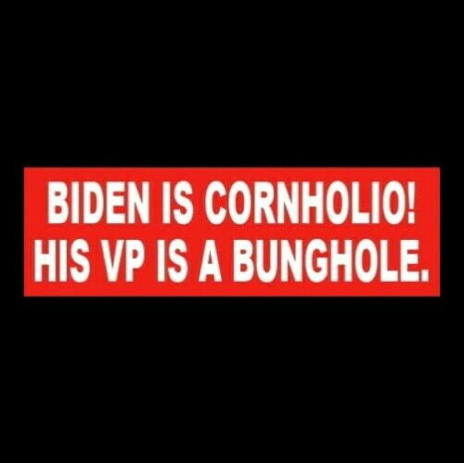 Funny biden IS Cornholio Anti Joe Biden Meme Etsy