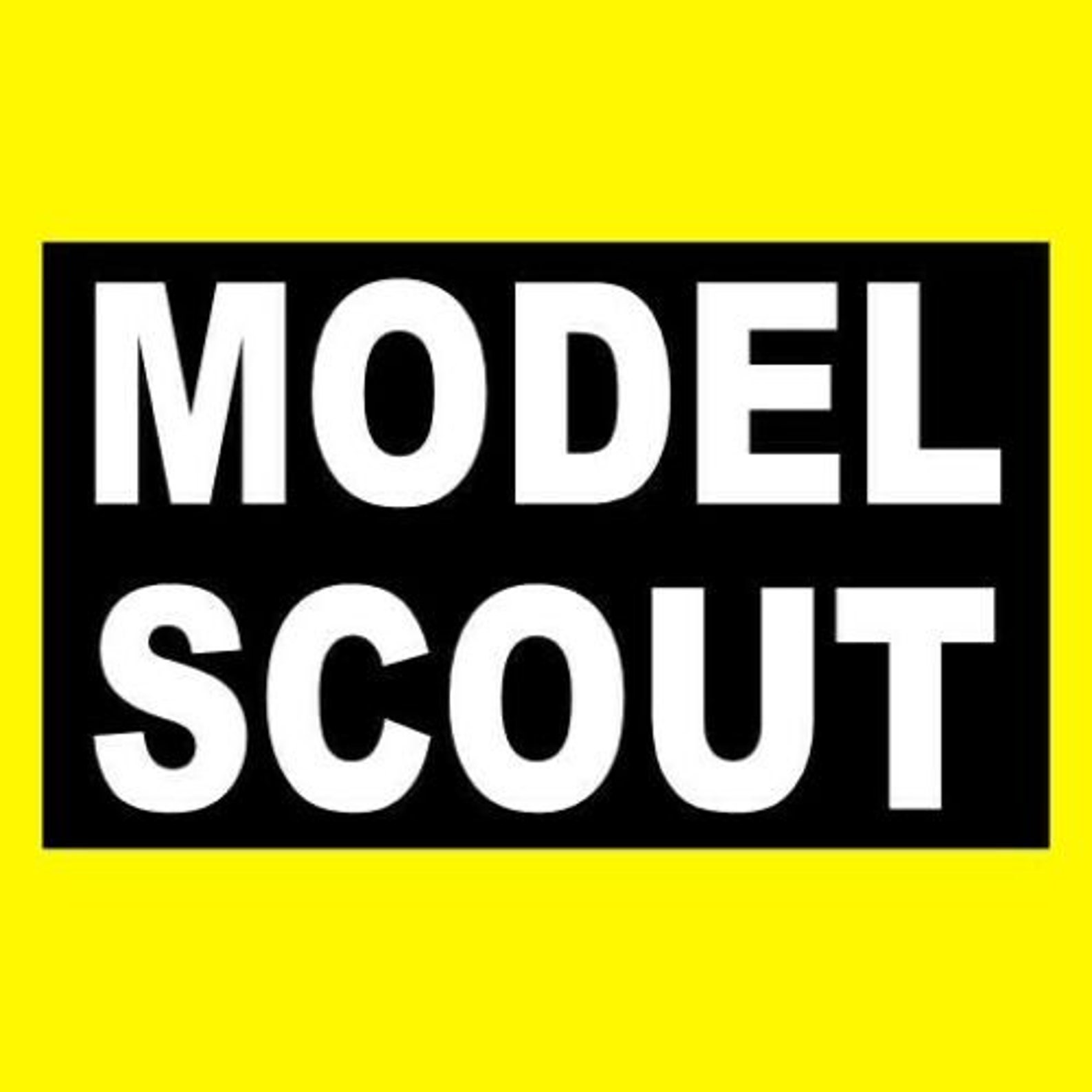 Scout Window Sticker Funny