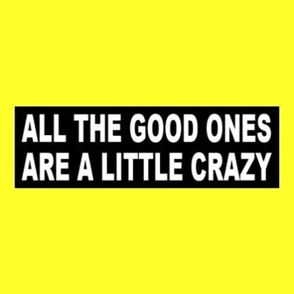 Funny "All the Good Ones are a Little Crazy" BUMPER STICKER decal sign goth girl emo, psycho bomb,. punk rock, heavy metal, weird, new