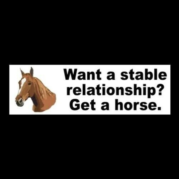 Funny "Want a stable relationship? Get a horse." BUMPER STICKER window decal sign, Arabian, Thoroughbred, Morgan, Mustang, Quarter, new