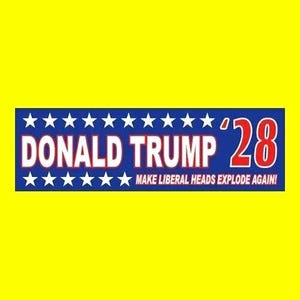 Funny &quot;DONALD TRUMP &#39;28&quot; bumper sticker, President, Donald Trump 2028, political decal Elon Musk, maga