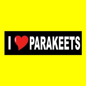Funny &quot;I LOVE PARAKEETS&quot; bumper sticker Budgie budgerigar window decal bird cage pet, new