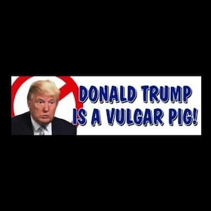 Funny &quot;Donald Trump is a Vulgar Pig&quot; Anti Trump BUMPER STICKER window decal, political, vinyl, funny sticker, Elon Musk, new