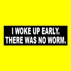 Funny &quot;I Woke Up Early. There Was No Worm.&quot; BUMPER STICKER window decal, couch potato, lazy, vinyl, new
